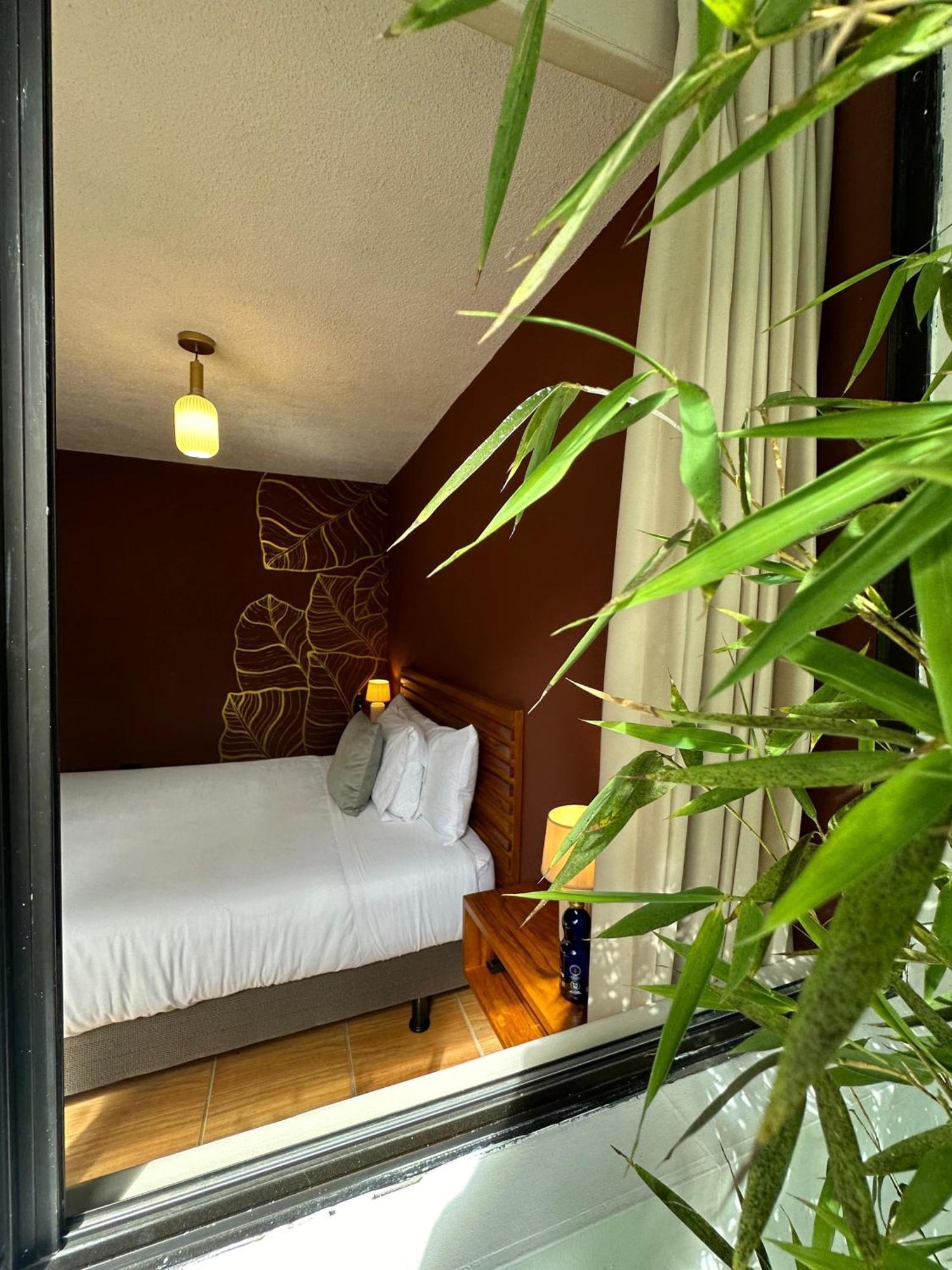 Hotel Agave Banos エクステリア 写真