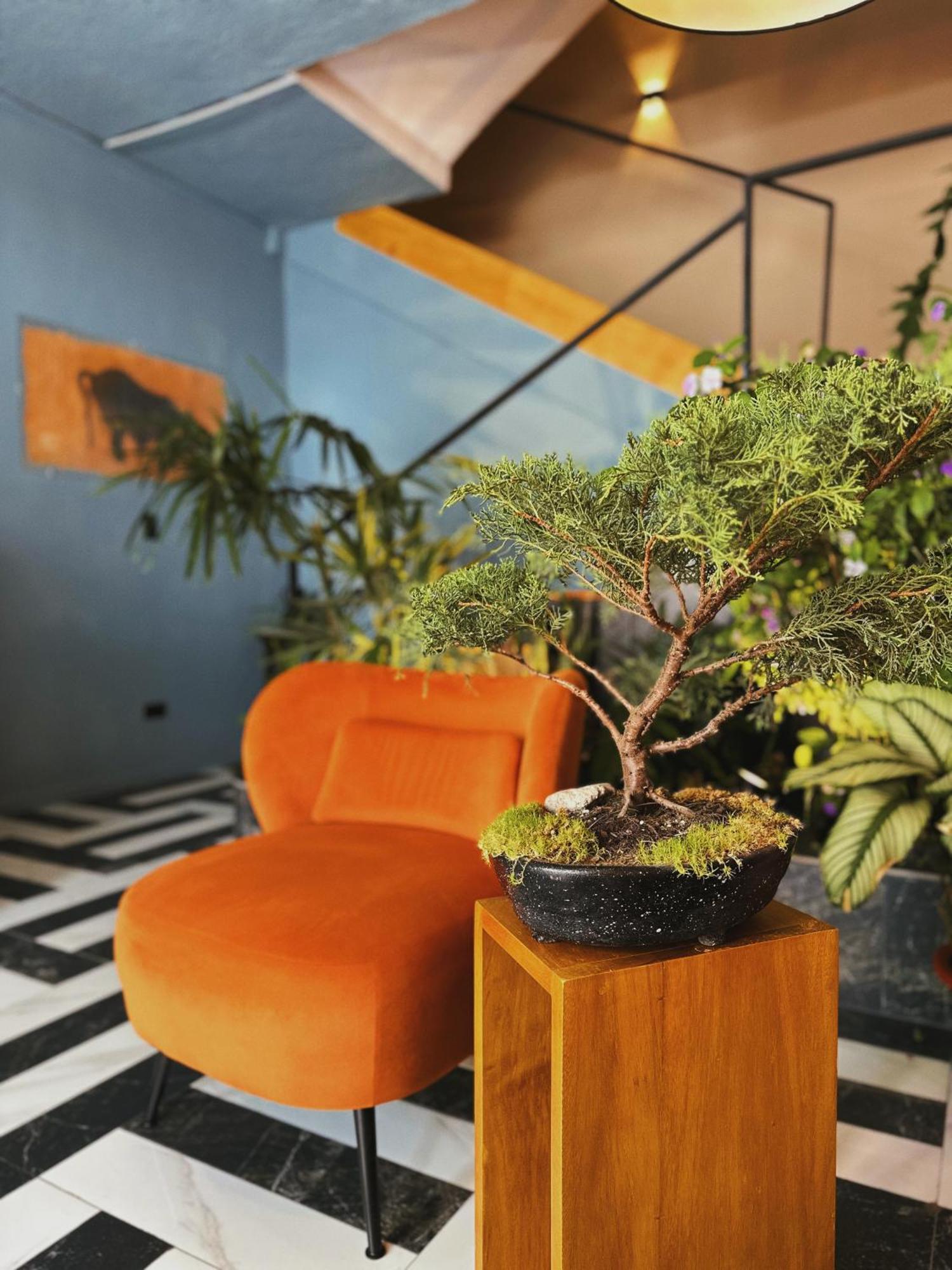 Hotel Agave Banos エクステリア 写真