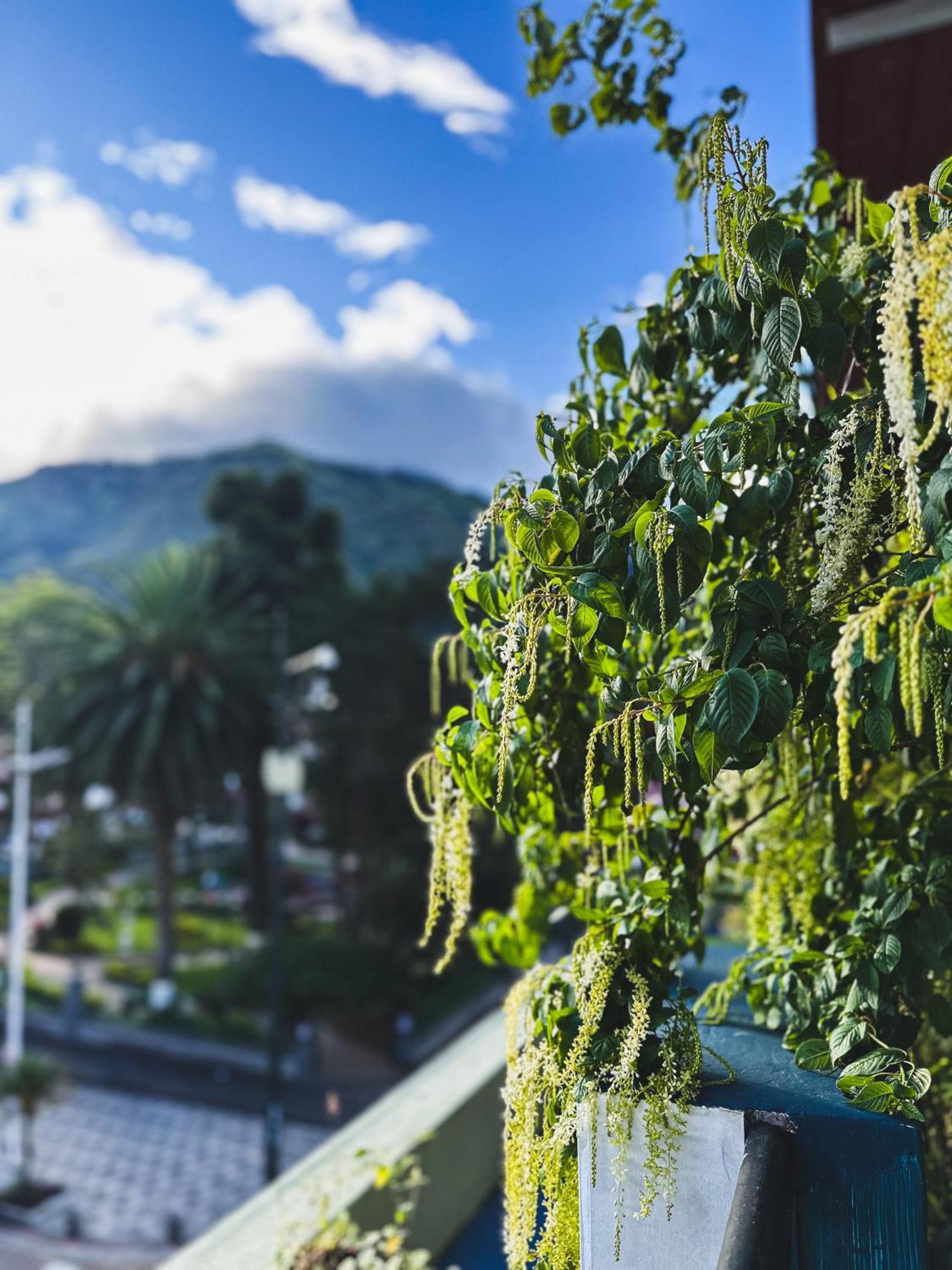 Hotel Agave Banos エクステリア 写真
